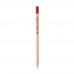 Lápis apontado Personalizado - 51738