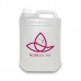 Álcool Gel 70% Antisséptico 5 Litros Personalizado Para o Dia Das Mães - 94895